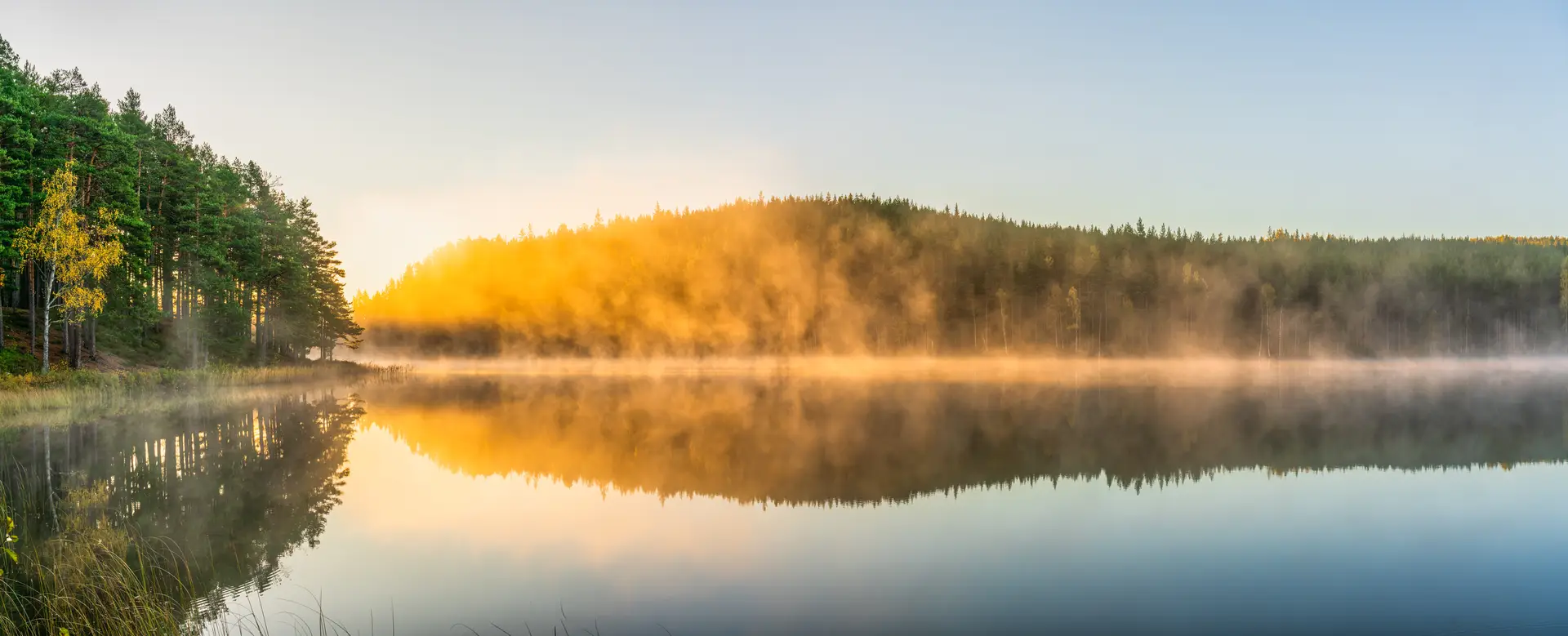 Experter på mekanisk frånluft i Sverige